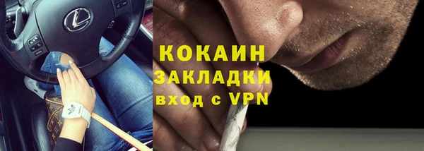 шишки Абдулино