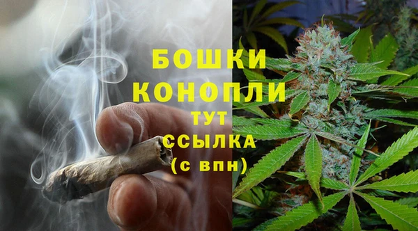 трава Абаза