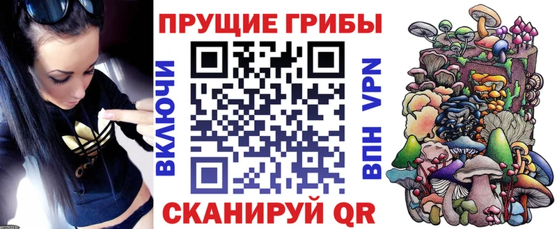 Псилоцибиновые грибы Psilocybine cubensis продажа наркотиков Волоколамск
